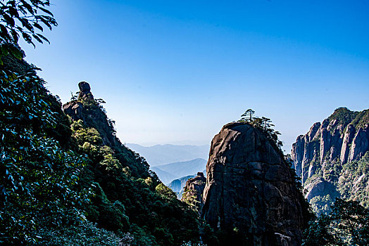 春yao哪里有卖淘宝F3381681-338168